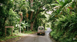 A narrow rural road in Barbados showing typical driving conditions outside major highways.