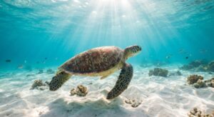 Colorful tropical fruits and spices for sale at Cheapside Market in Bridgetown.