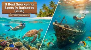 best snorkeling spots in Barbados