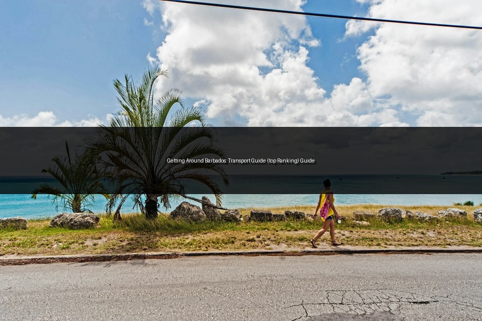 Getting Around Barbados: Transport Guide (top Ranking) Guide
